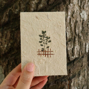 Sổ giấy tre a7 – “trồng cây”