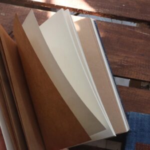 Sổ gai dầu – chàm